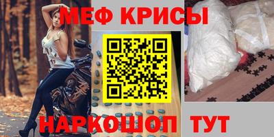 молекула духа Кингисепп