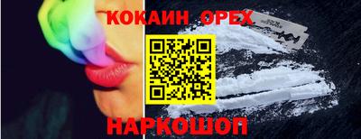молекула духа Кингисепп