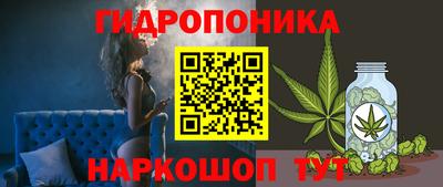 молекула духа Кингисепп
