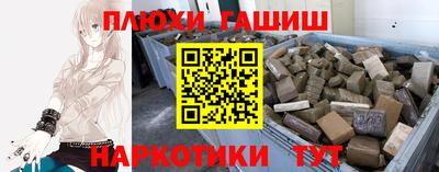 молекула духа Кингисепп