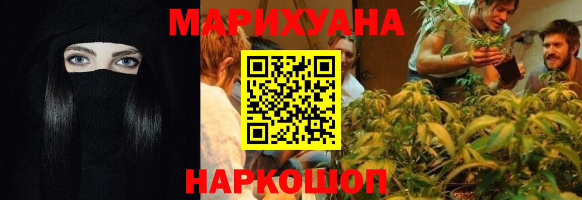 Курчатов  Канабис VHQ  Вход с VPN  МАРИХУАНА MAZAR  МАРИХУАНА OG Kush  Бошки Шишки сатива 