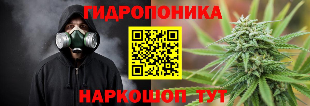 Бошки Шишки OG Kush Курчатов
